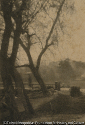 作品画像:(橋)