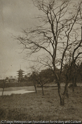 作品画像：