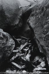 作品画像:火山地帯(大涌谷)