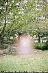作品画像:浦安市、千葉