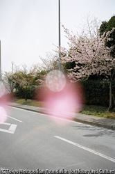 作品画像:浦安市、千葉