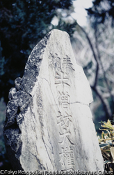 作品画像: