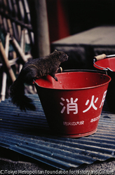 作品画像:
