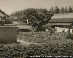 作品画像:(田舎風景)
