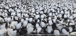 作品画像:ビ・サイレント