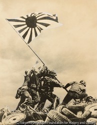 作品画像:ショー・ザ・フラッグ