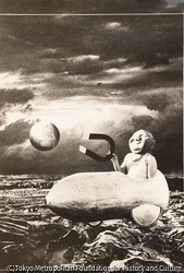 作品画像:愚かな引力