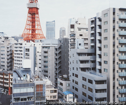 作品画像：東京