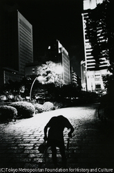 作品画像: