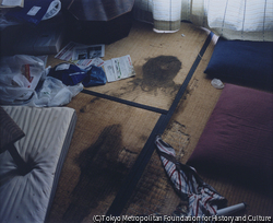 作品画像: