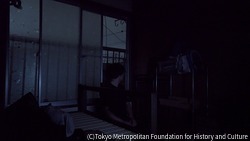 作品画像:A Few Minutes of Sight Seeing/感光の数分間 #27