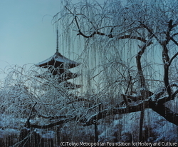 作品画像:猿沢池雪日(興福寺塔)
