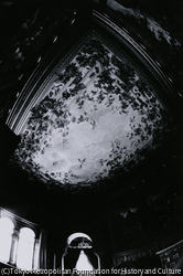 作品画像: