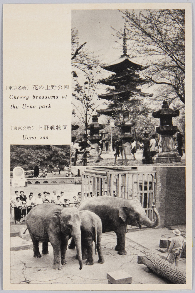 作品画像:東京名所