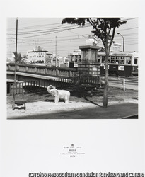 作品画像:橋 荒神橋 荒神町 1,800m