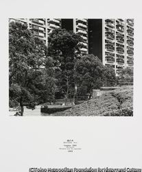 作品画像:楠の木 基町住宅団地 1,200m