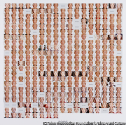 作品画像:2005