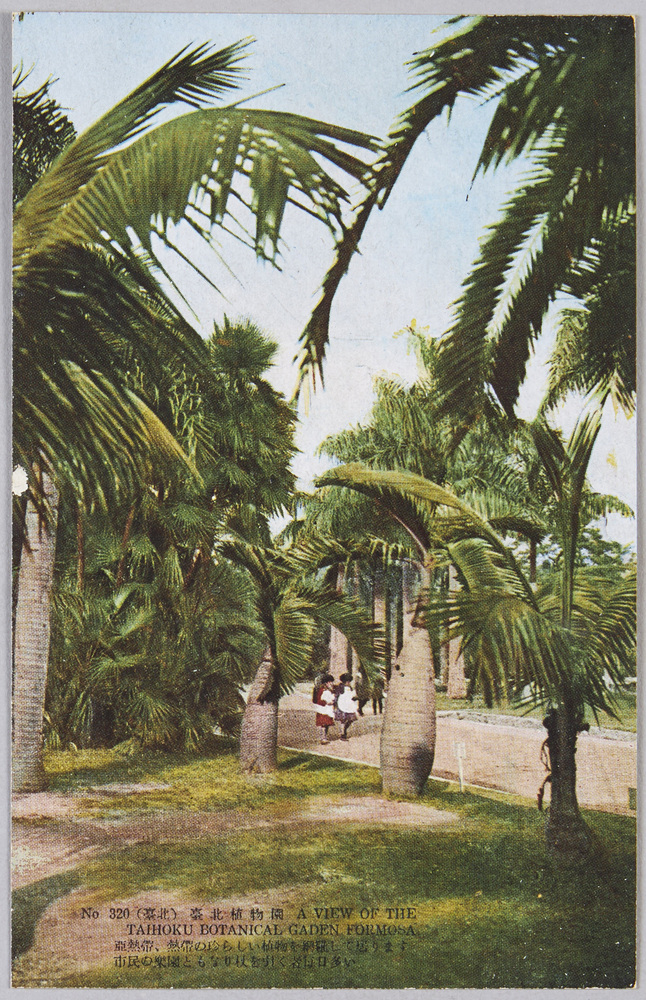 作品画像:台北風景