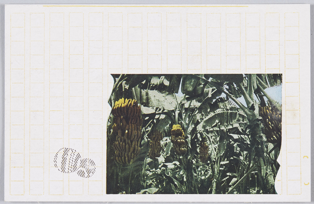 作品画像:原稿用紙デザイン絵葉書
