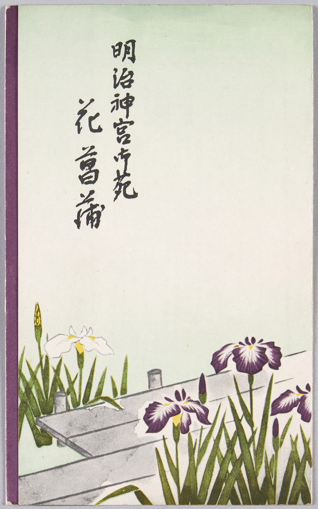 作品画像:明治神宮御苑 花菖蒲
