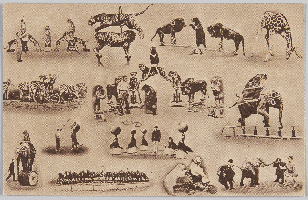 作品画像:萬国婦人子供博覧会絵葉書