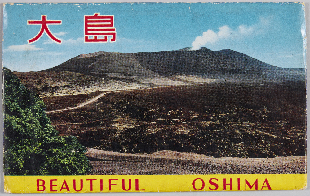 作品画像:大島