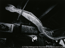 作品画像:閼伽井堂の神蛇像 猿賀神社