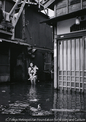 作品画像:海抜ゼロメートル地帯の洪水 東京 大島