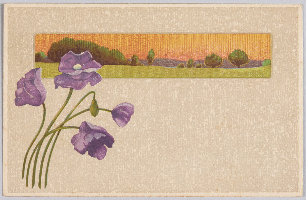 作品画像:植物 絵葉書 ポピー(紫)