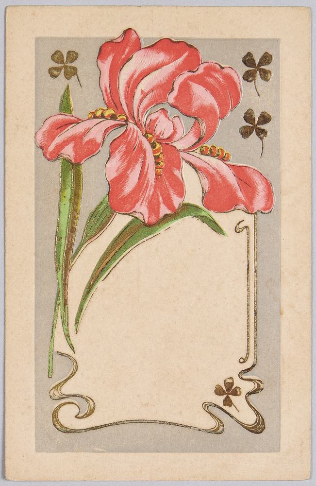 作品画像:植物 絵葉書 アイリス