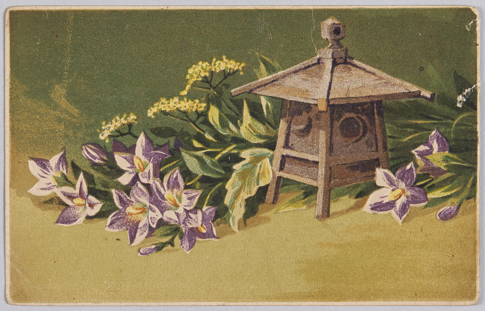 作品画像:植物 絵葉書 桔梗とおみなえし