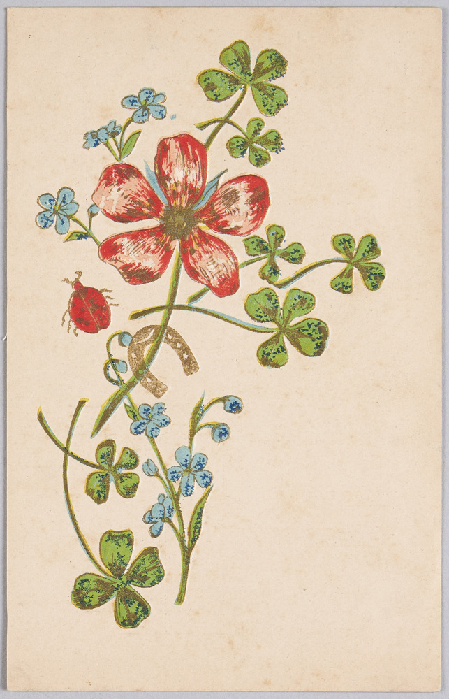 作品画像：植物　絵葉書　かたばみ、忘れな草、てんとう虫、蹄鉄