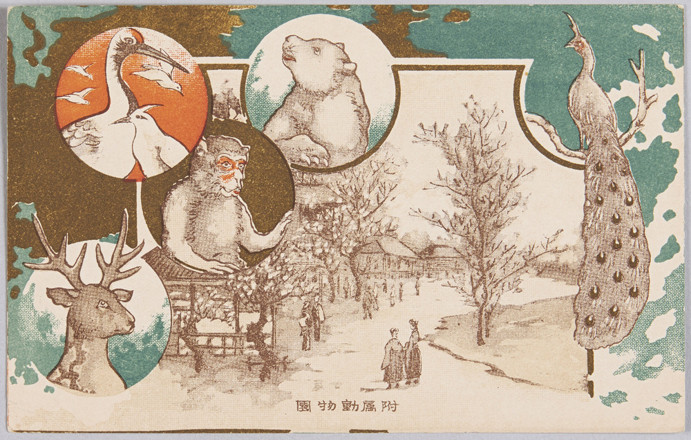 作品画像:動物絵葉書 附属動物園