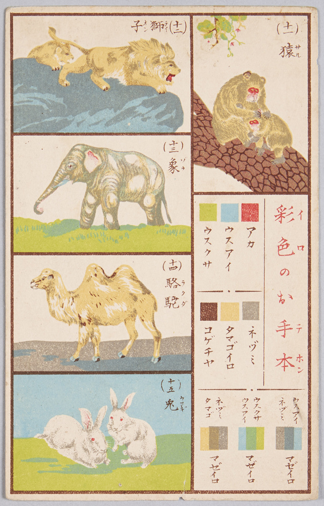 作品画像:動物絵葉書 彩色のお手本 猿、獅子、象、駱駝、兎