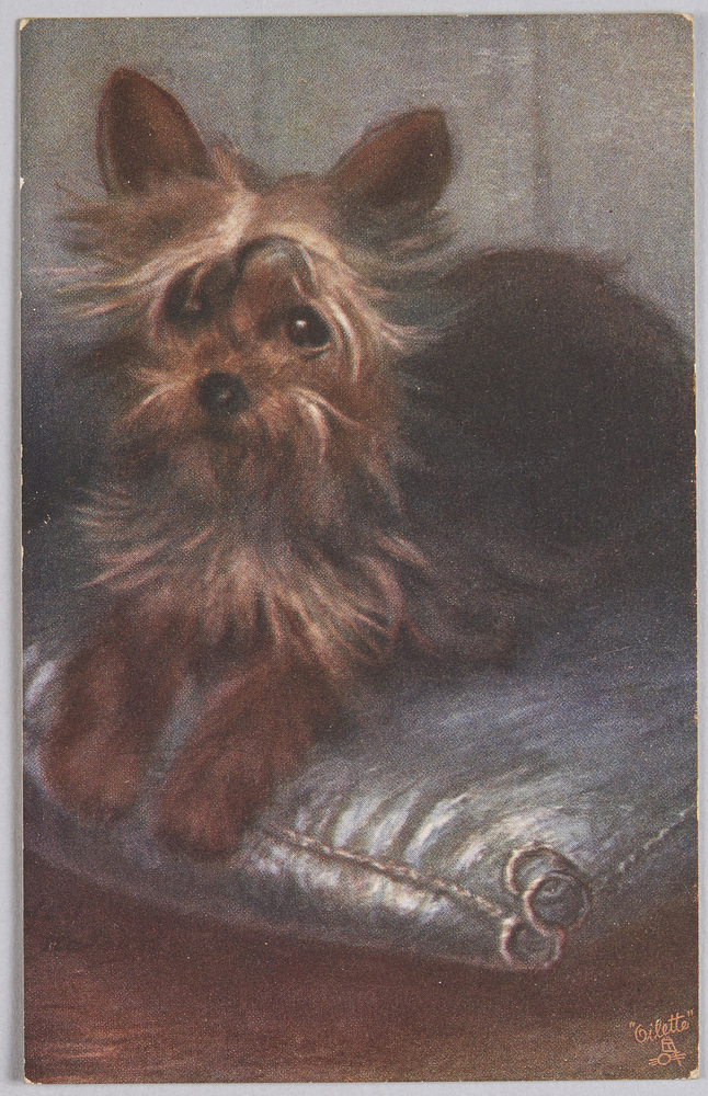 作品画像:動物絵葉書 テリア犬