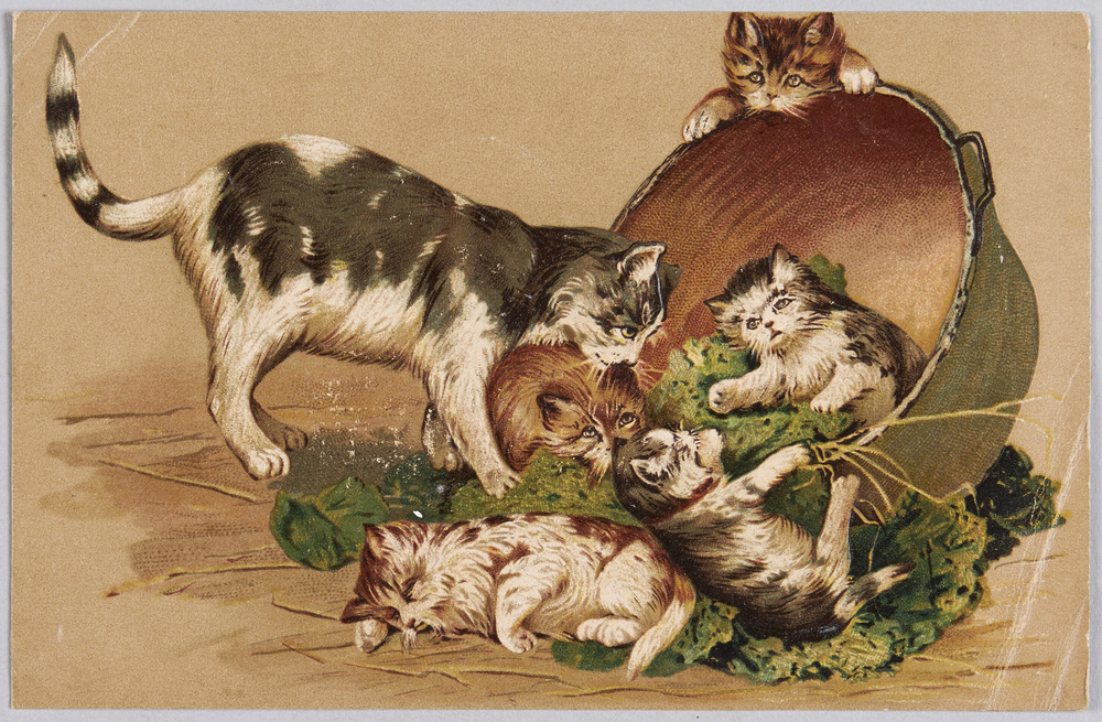 作品画像:外国製絵葉書 猫と鍋
