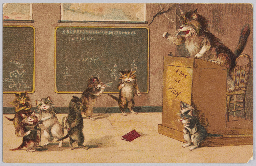 作品画像:外国製絵葉書 猫の授業