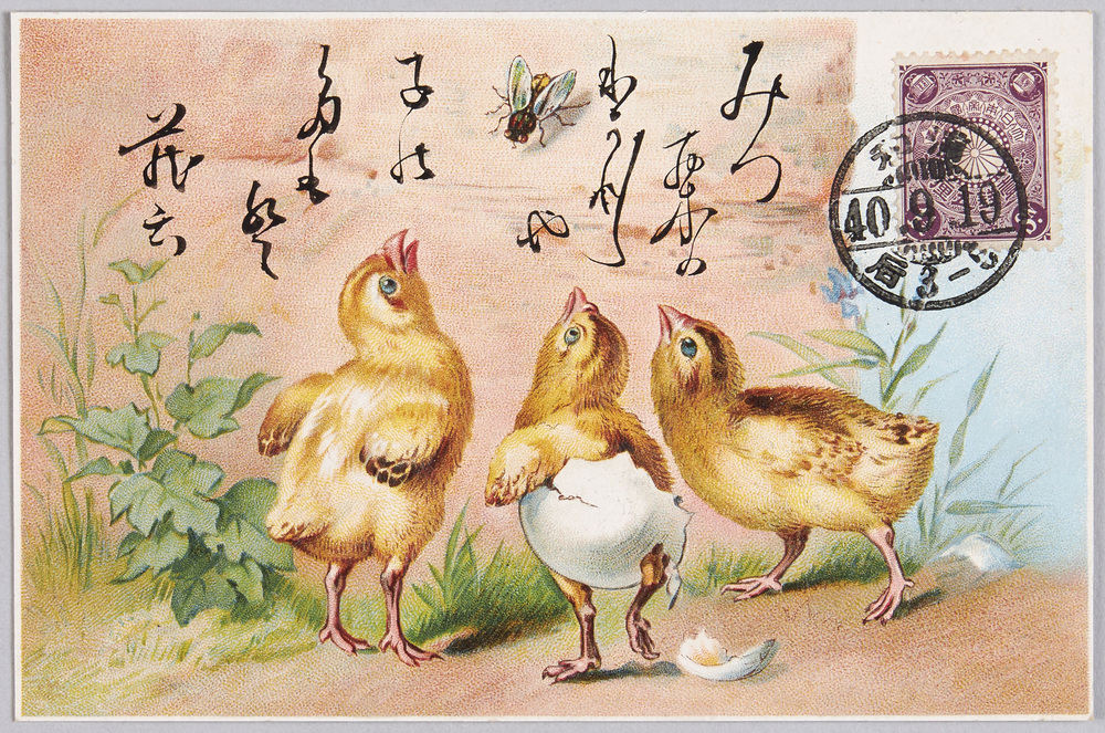 作品画像:動物絵葉書 ひよこ 蠅