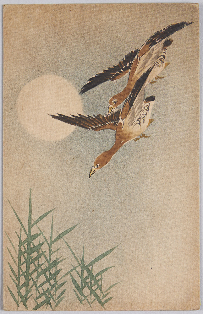 作品画像:動物絵葉書 雁