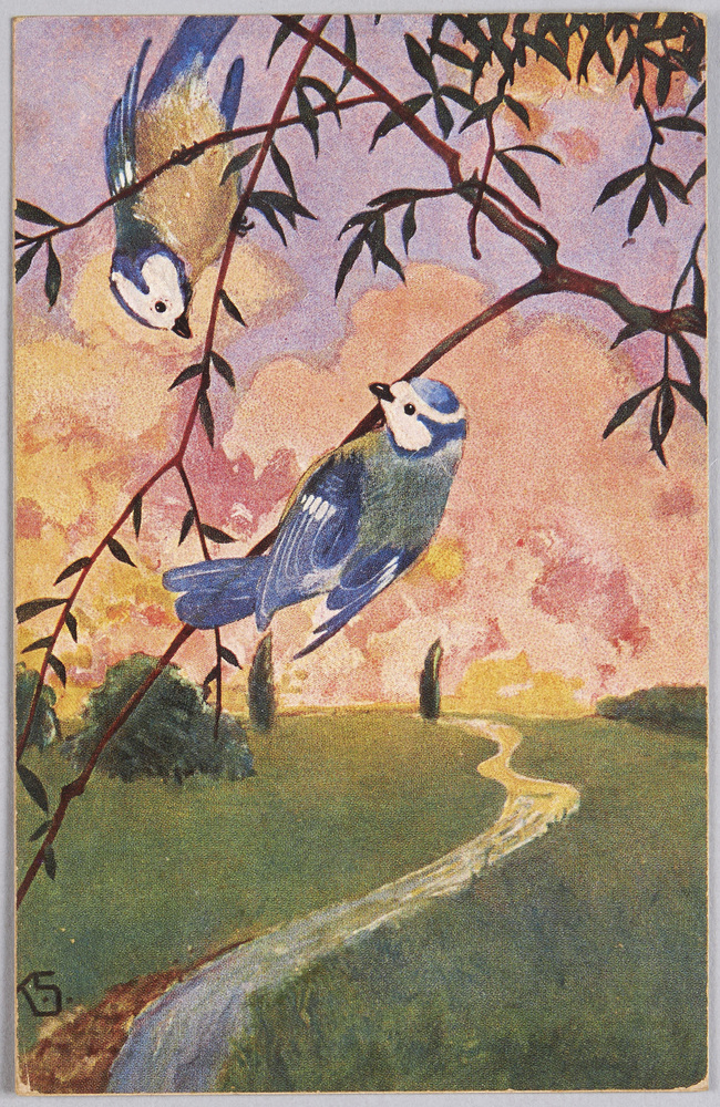作品画像：動物絵葉書　小鳥