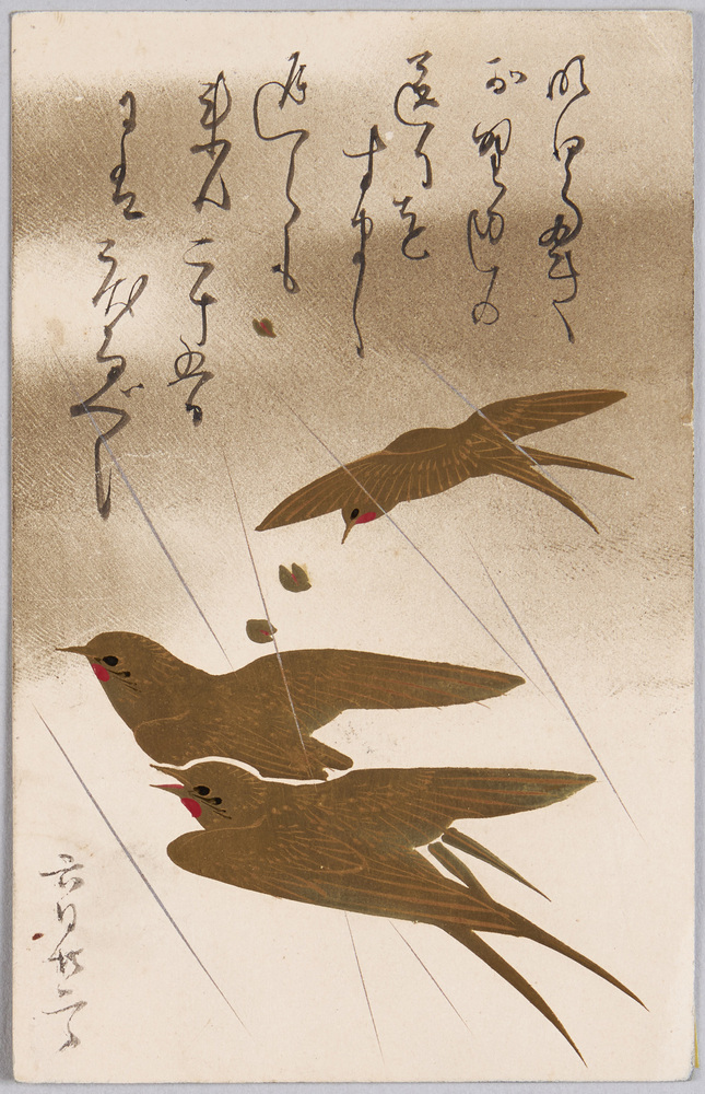 動物絵葉書 燕
