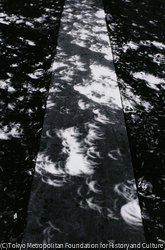 作品画像: