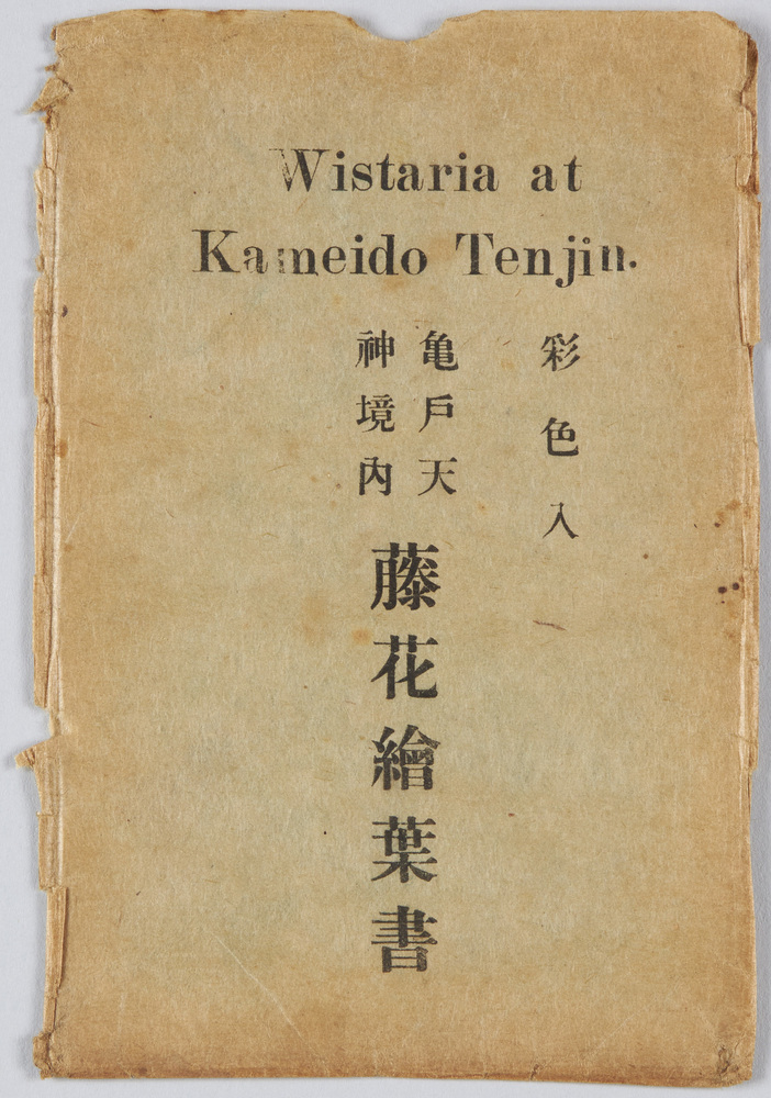 作品画像:亀戸天神境内 藤花絵葉書