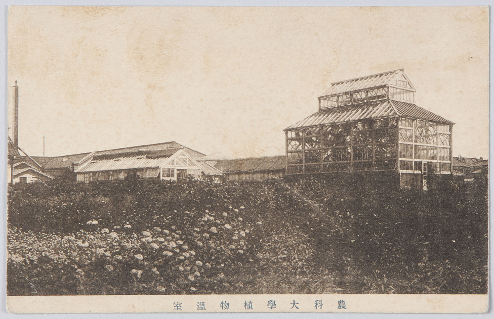 作品画像:農科大学植物温室