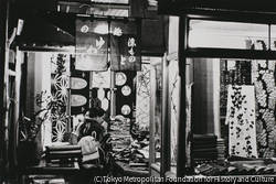 作品画像: