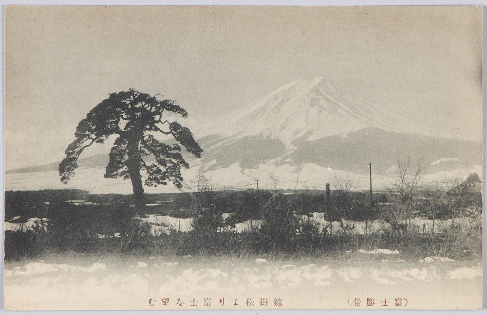 作品画像:鐘掛松より富士を望む(富士勝景)