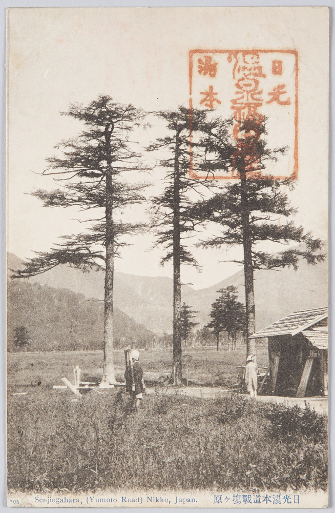 作品画像:日光湯本道戦場ヶ原