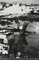 作品画像:海苔採り