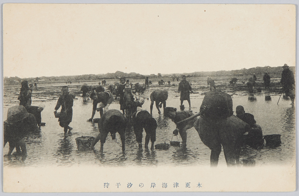 作品画像:木更津海岸の汐干狩