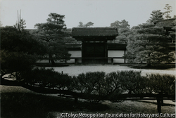 作品画像:仁和寺 (1)
